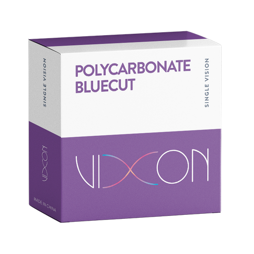 POLICARBONATO BLUECUT SEMITERMINADO VISION SIMPLE